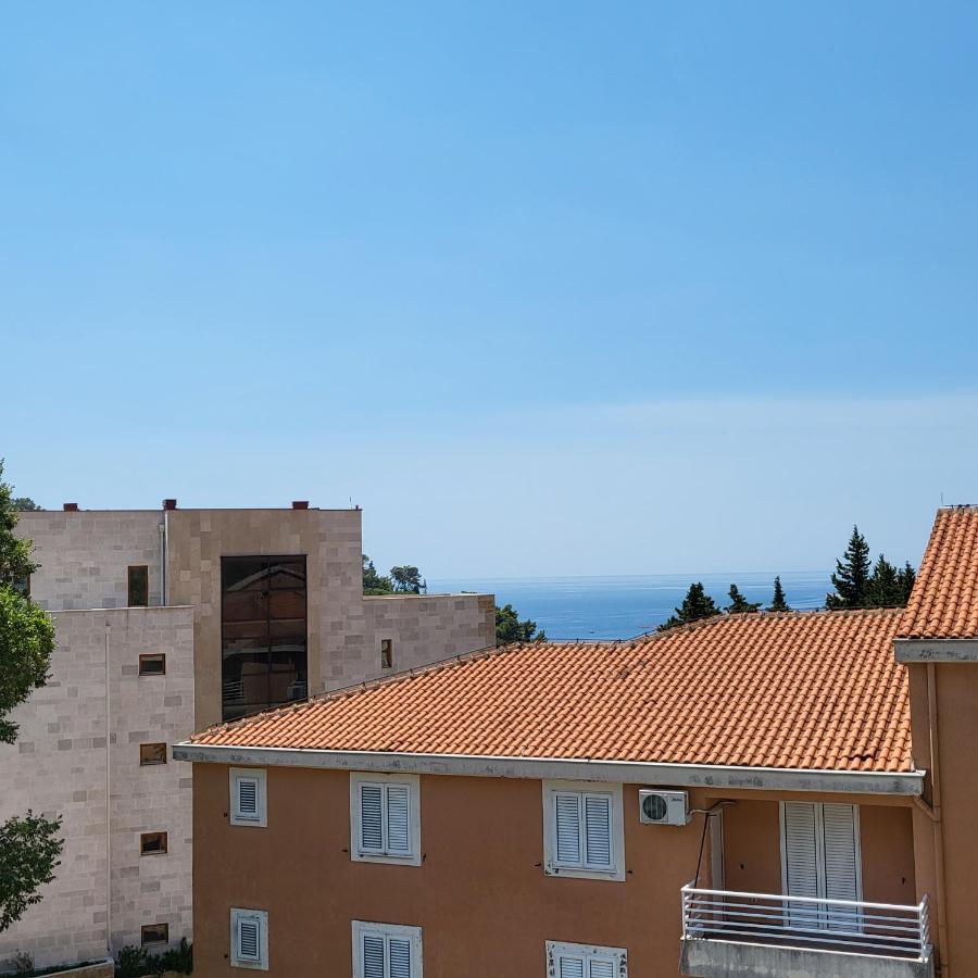 Apartmani Mia Sorajic Petrovac Luaran gambar